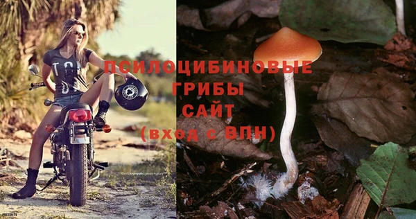 дурь Осинники