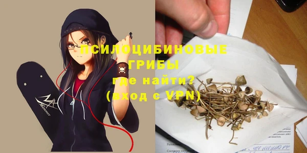 apvp Осташков