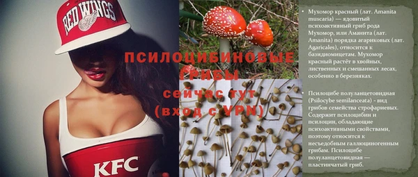 mix Пестово