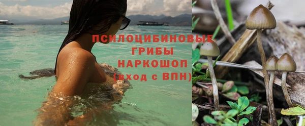 apvp Осташков