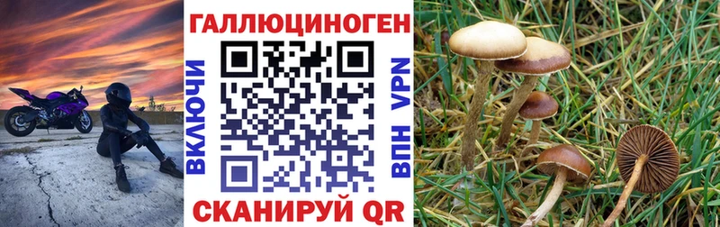 Галлюциногенные грибы прущие грибы  blacksprut рабочий сайт  Кириллов  купить  